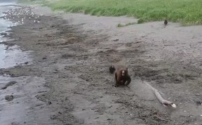 Происшествия