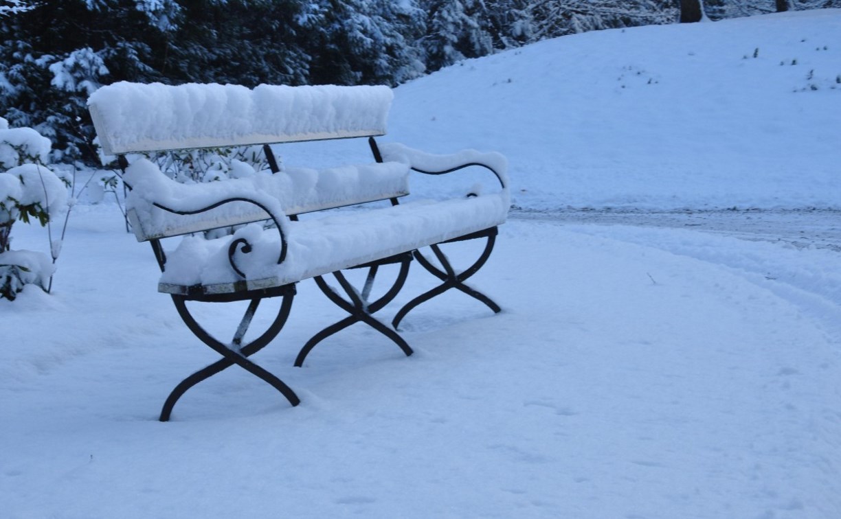 Снежок, ветерок: какой будет погода на Сахалине и Курилах 6 января