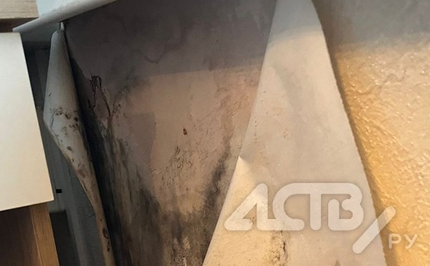 "Посуды и вёдер уже не хватает": жителей пятиэтажки в Корсакове третий год заливает после дождей и оттепелей