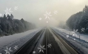 Общество