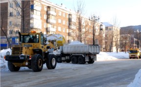 Общество