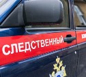 Убитого мужчину нашли у дороги Вахрушев - Поронайск