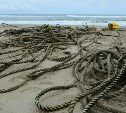 Волонтеры убрали километр веревок из залива Пильтун, где кормятся серые киты
