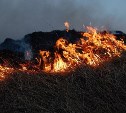 Сухая трава горела на сопке в районе Красногорска