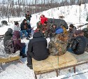 Впервые за последние годы сахалинские оленеводы получат поддержку со стороны власти