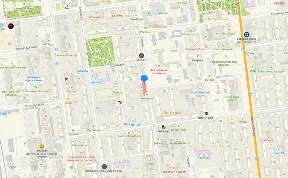 Общество