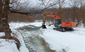 Общество