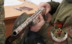 Происшествия