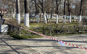 Общество