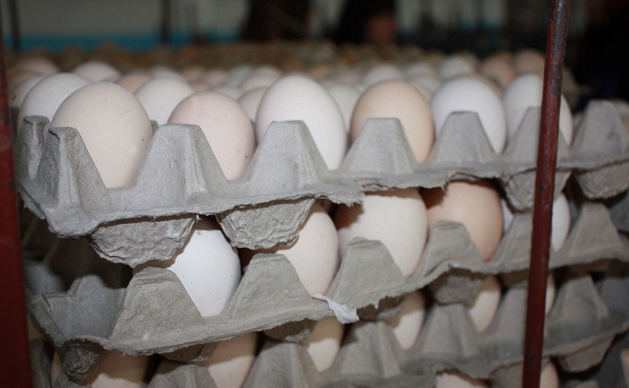 В северные районы Сахалина и на Курилы увеличили поставки яиц