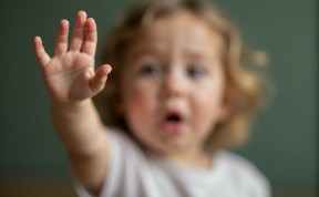 Происшествия