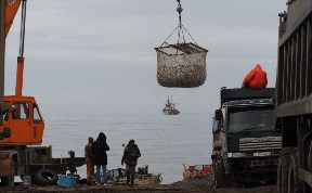 Происшествия