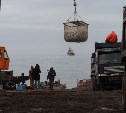 Рыбаков, заваливших селёдкой дачную дорогу на Сахалине, найдут и накажут