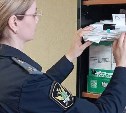 На Сахалине женщину арестовали за то, что не явилась на обязательные работы