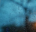 Дождь сохранится временами - синоптики о погоде на юге Сахалина 7 августа