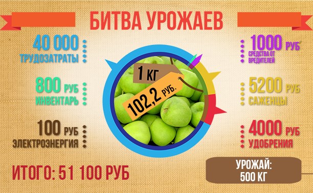 Эксперимент "Битвы урожаев": сахалинские яблоки по 102 рубля