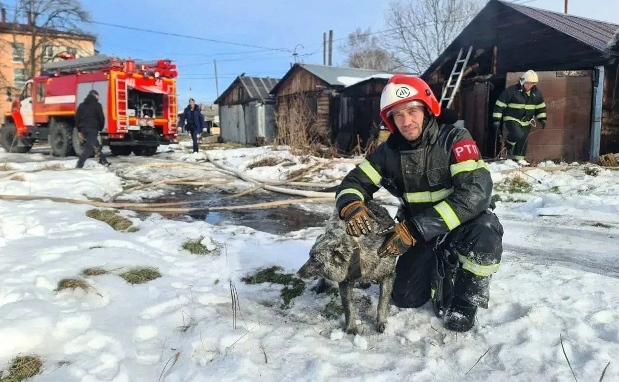 На Сахалине из горящего гаража спасли собаку