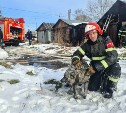 На Сахалине из горящего гаража спасли собаку