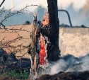 На территории Южно-Сахалинска 21 июля прогнозируют высокую пожароопасность