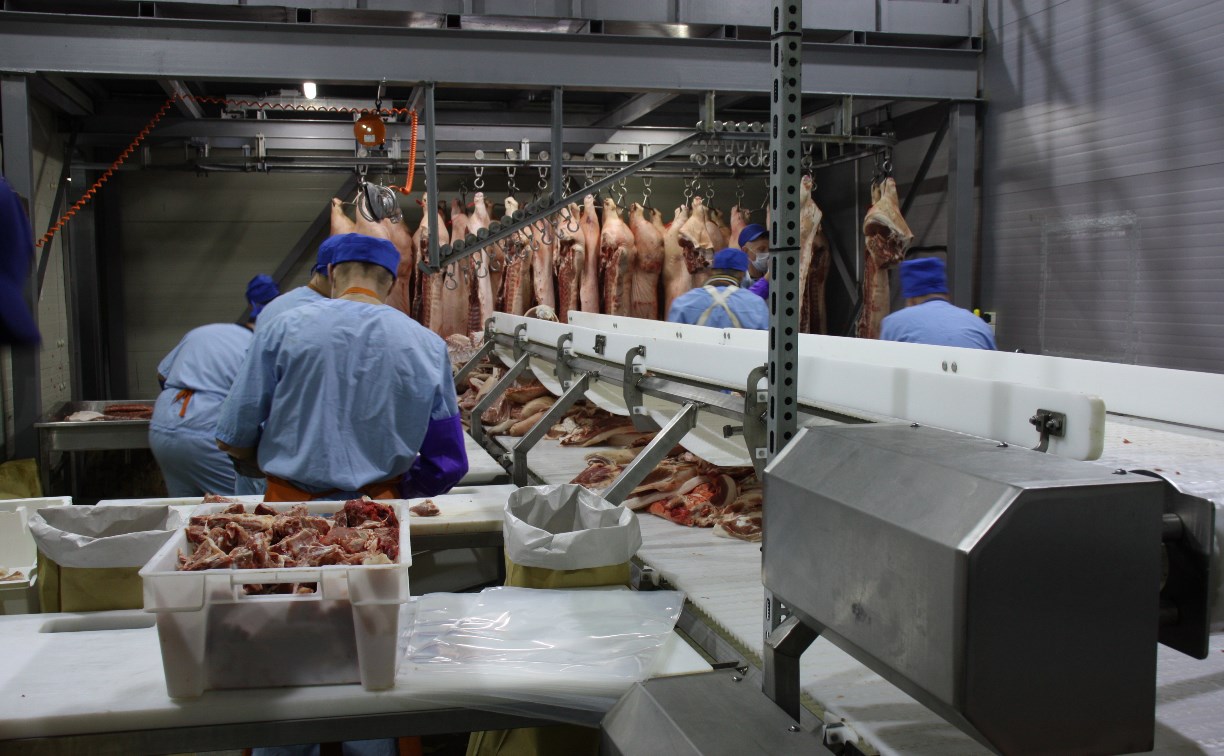 На Сахалине наращивают объёмы производства мяса 