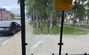 Общество
