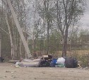 В южно-сахалинском СНТ "Мечта" люди устроили стихийную свалку