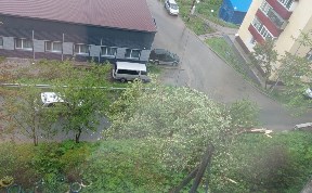 Происшествия