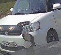 Женщина на машине с кошачьими глазами чуть не устроила лобовое ДТП на юге Сахалина