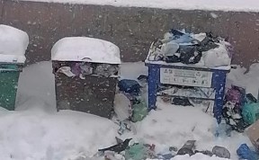 Общество