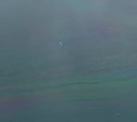 Жители Невельска сообщили о маслянистых пятнах в море - специалисты выехали на место