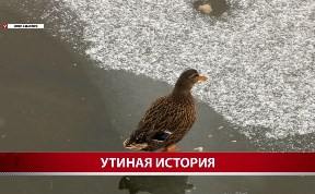 Общество