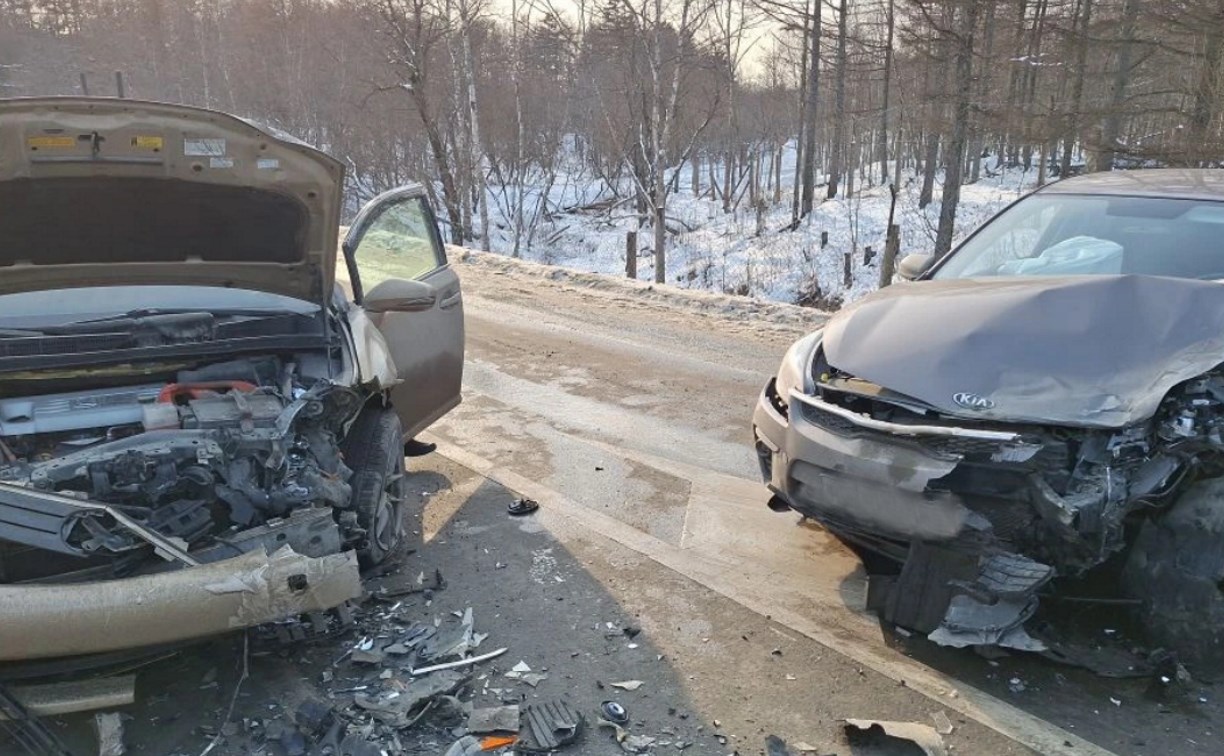 В ДТП в Анивском районе пострадали два человека
