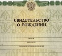 Избежать подмены: в свидетельство о рождении предложили добавить фото ребенка