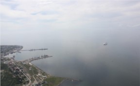 Общество