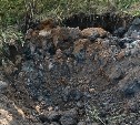 Жители Южно-Сахалинска предотвратили незаконную вырубку деревьев