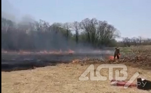 "Пожарили шашлычков": отдыхающие на Сахалине спасали автомобили из-за пожара на поляне с сухой травой