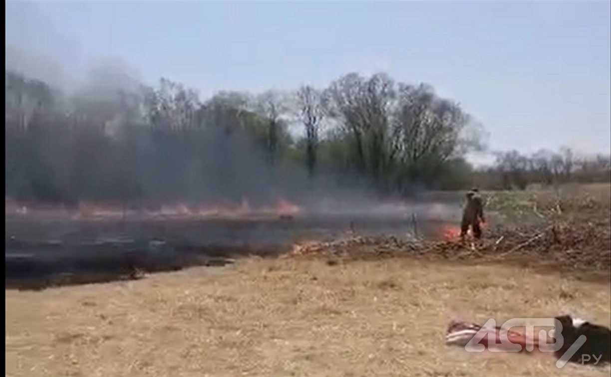 "Пожарили шашлычков": отдыхающие на Сахалине спасали автомобили из-за пожара на поляне с сухой травой