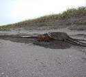 Уникальный экспонат покажут сахалинцам