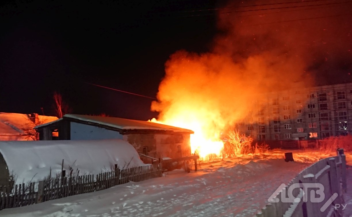 Козы, кролики и куры погибли в пожаре в Новотроицком