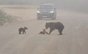 Общество