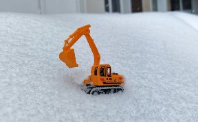 Общество