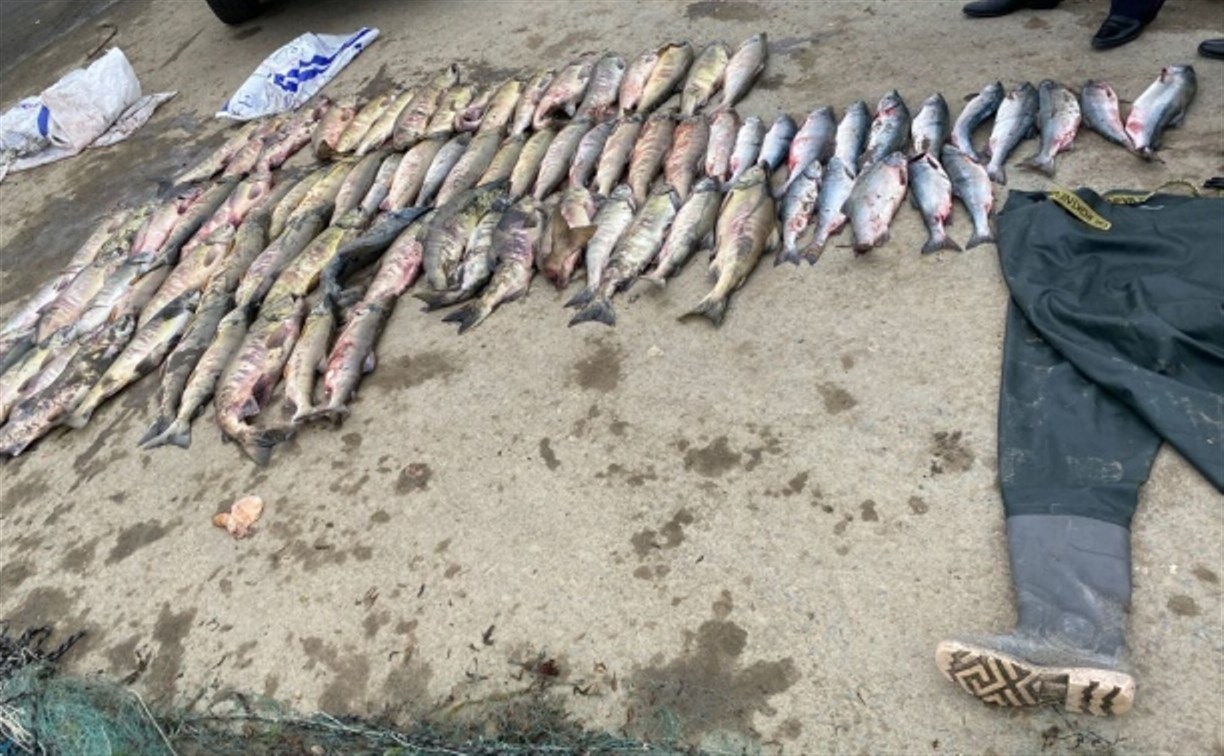 Молодой браконьер на юге Сахалина среди бела дня натаскал мешок лосося