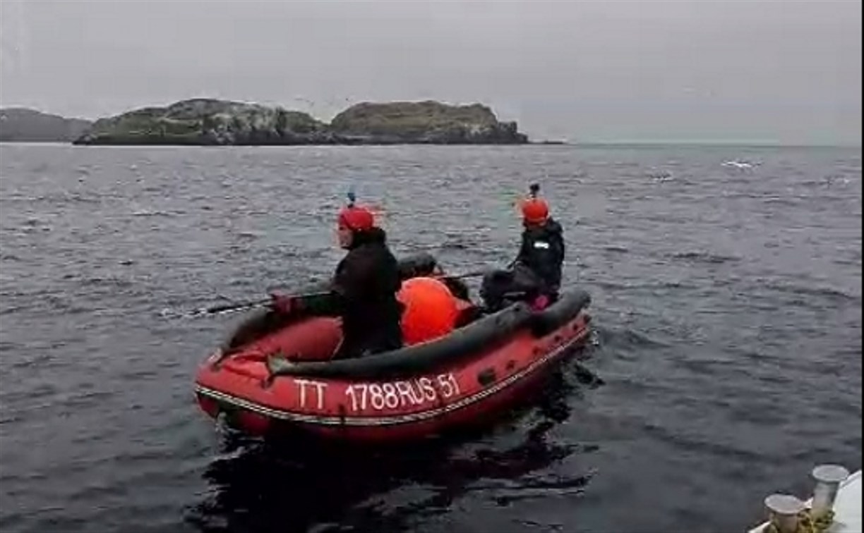 "Мать прикрывает детёныша": как идёт спасение горбатого кита в Териберке с участием сахалинцев