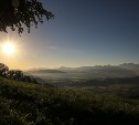 Дождь и до 26°: синоптики уточнили прогноз для Сахалина на субботу