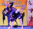Спортсмены Сахалина борются с наркотиками с помощью боевых искусств (ФОТО)