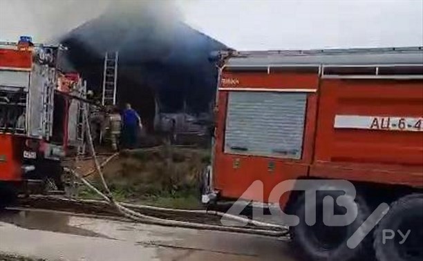 Без крыши над головой: сгорел дом работников единственного в Корсакове приюта для животных