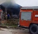 Без крыши над головой: сгорел дом работников единственного в Корсакове приюта для животных