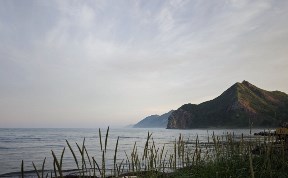 Общество