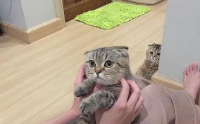 Гороскоп
