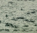 В сахалинском МЧС уточнили районы, на которые обрушится ливень 8 октября 